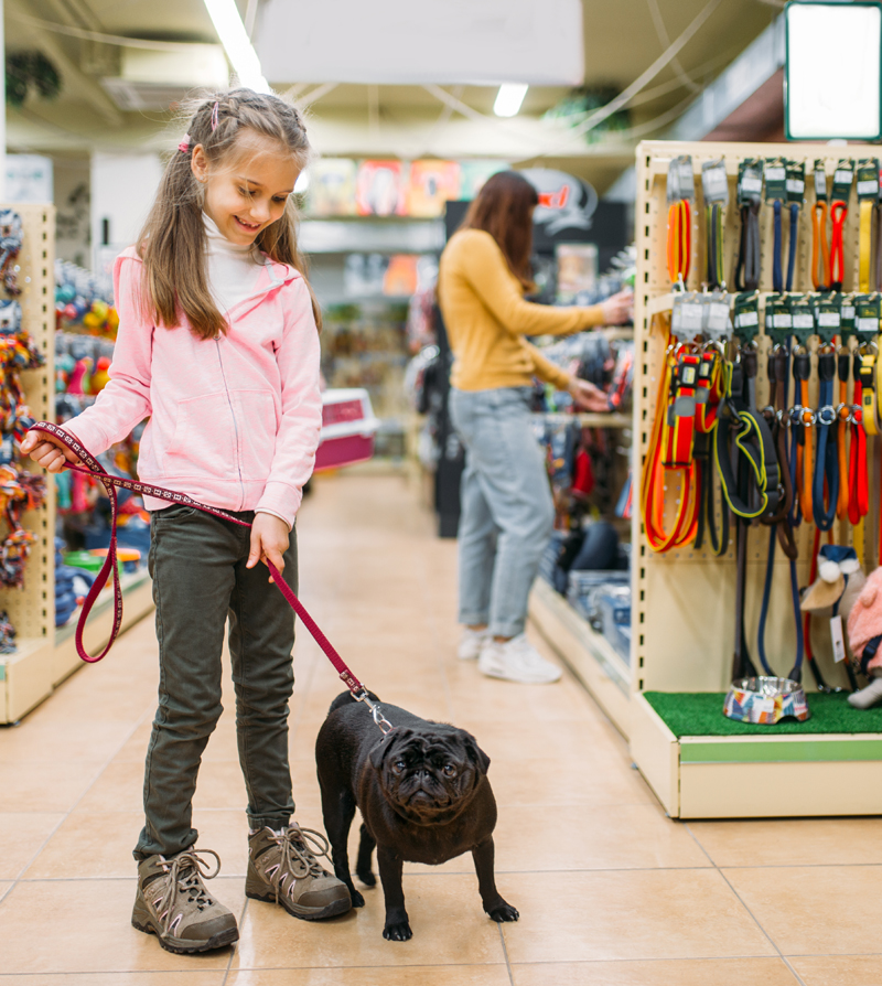 Google Ads Case Study - Tasty Treats Pets Supplies