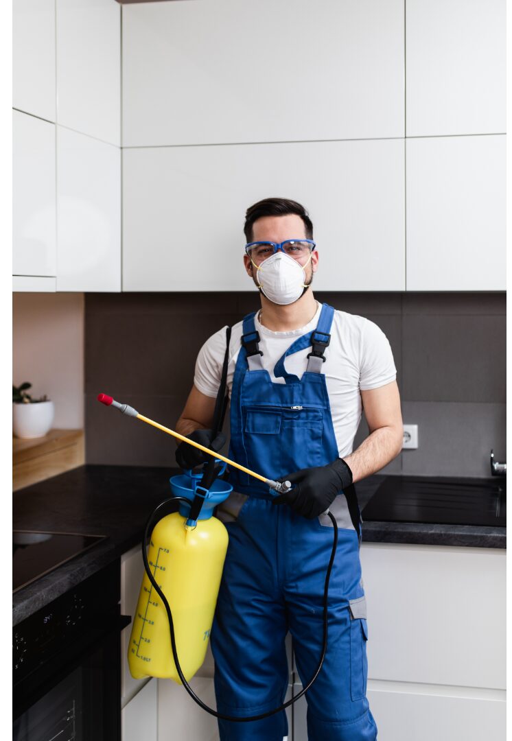 Google Ads for Pest Control Service